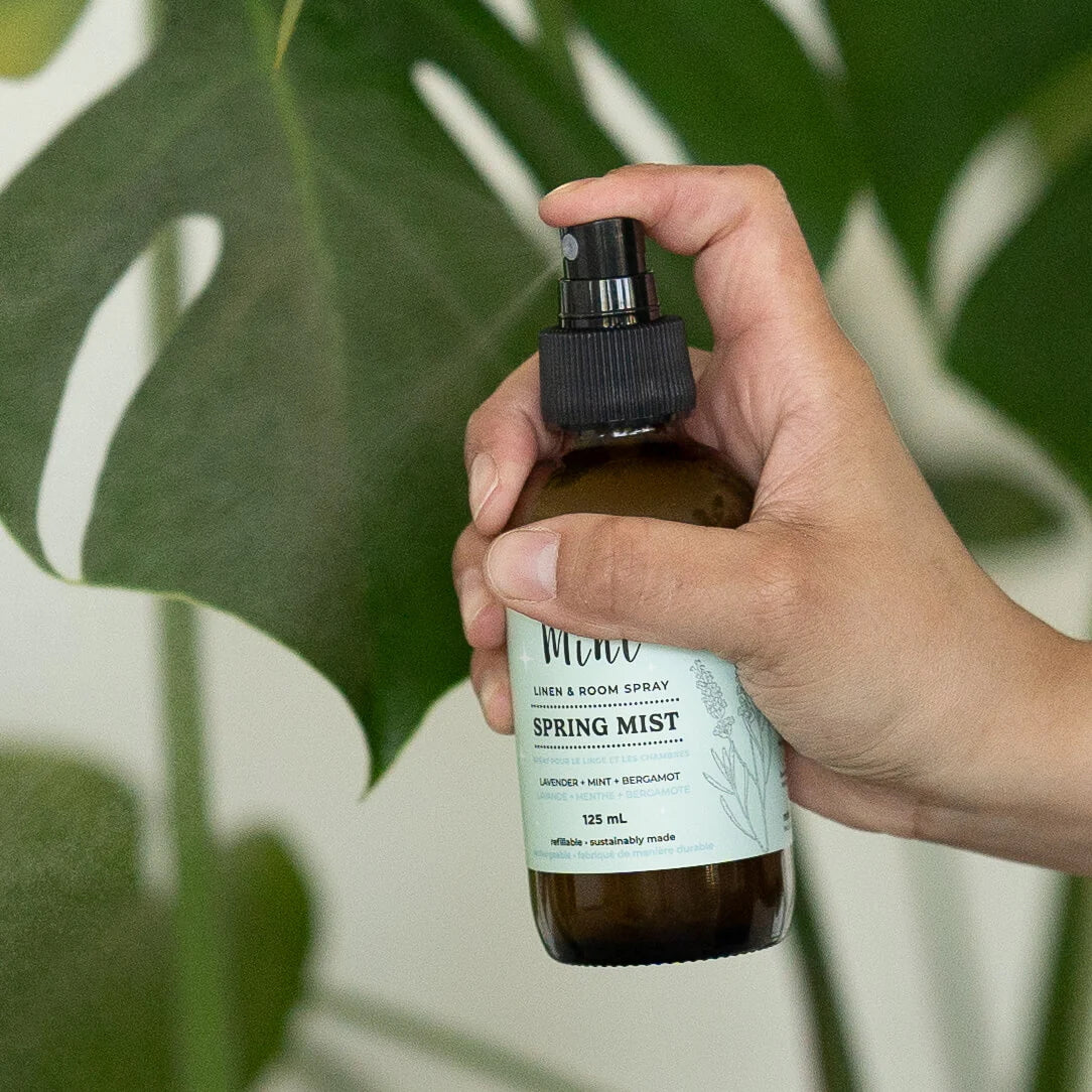 Mint Cleaning - Spring Mist