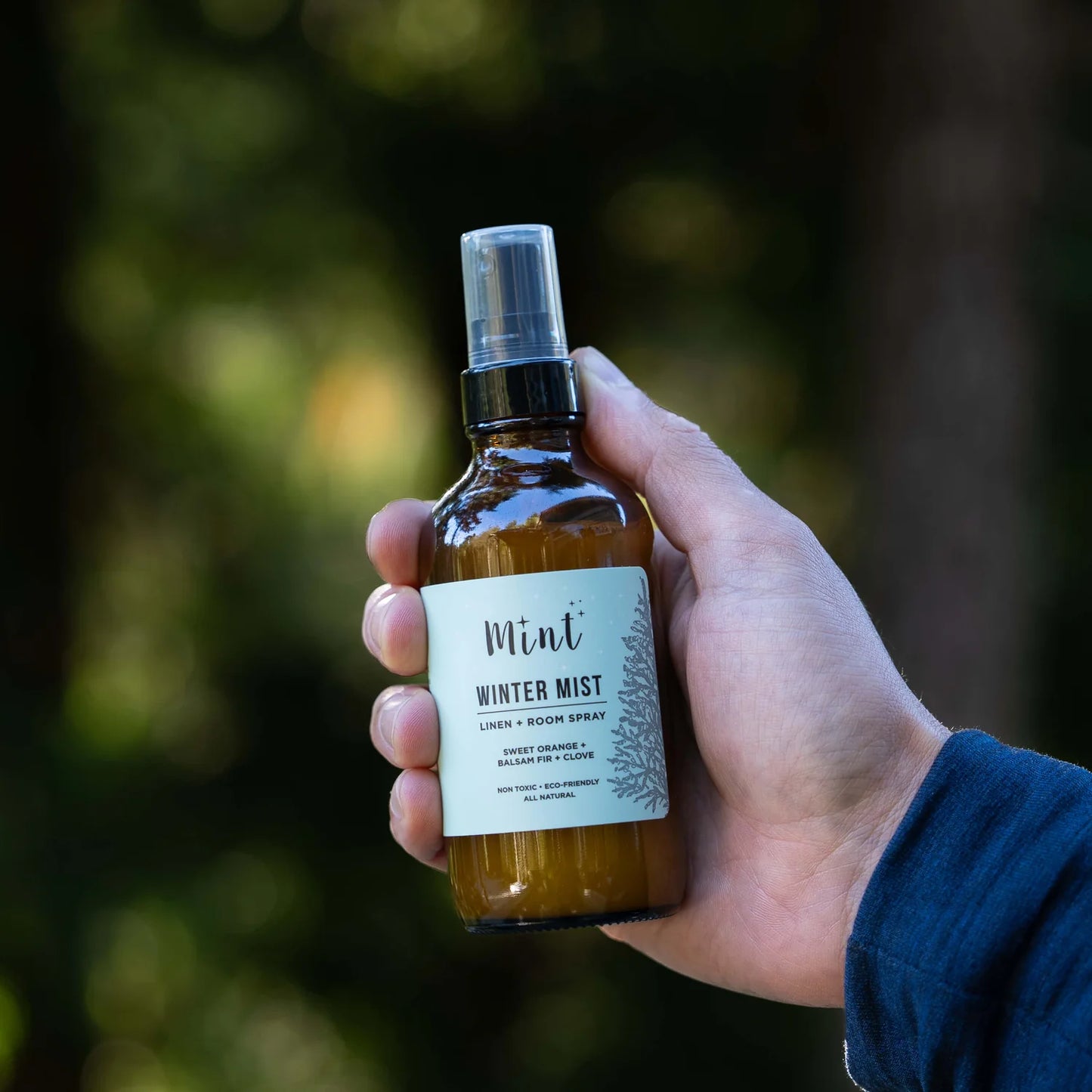 Mint Cleaning - Winter Mist